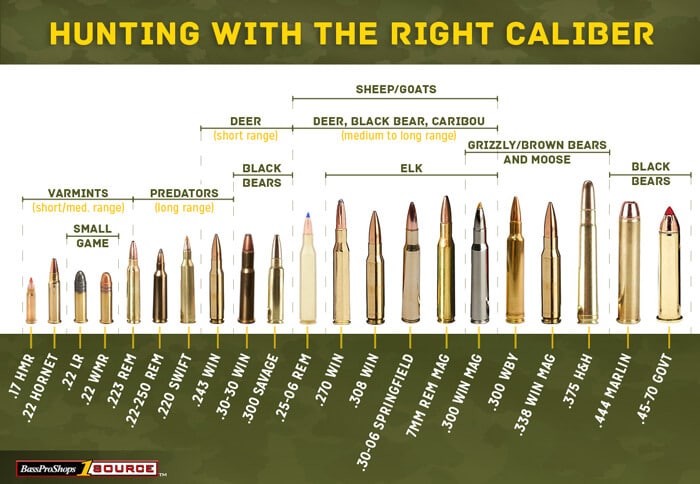 ammo buying guide