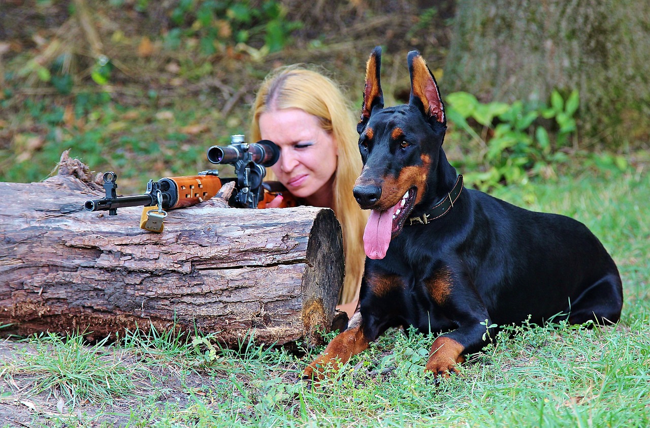 beside a doberman is a woman looking through her rifle scope attached to the rifle she is holding