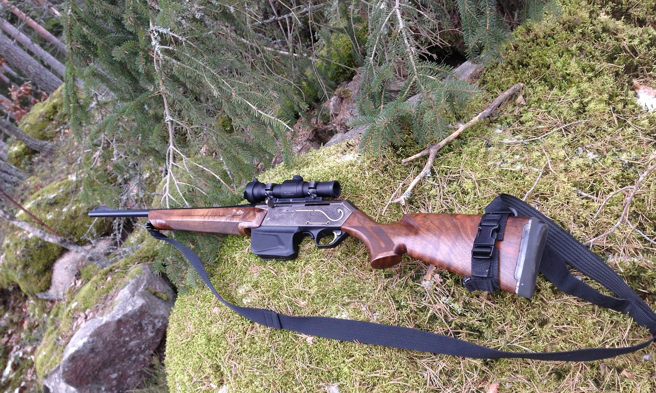 photo of a rimfire rifle with scope