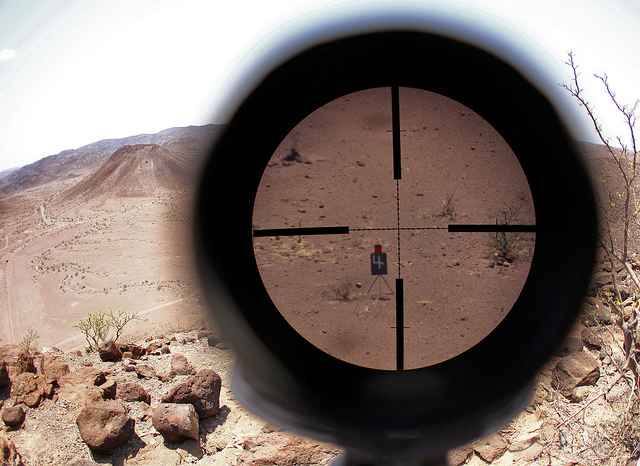 scope crosshairs