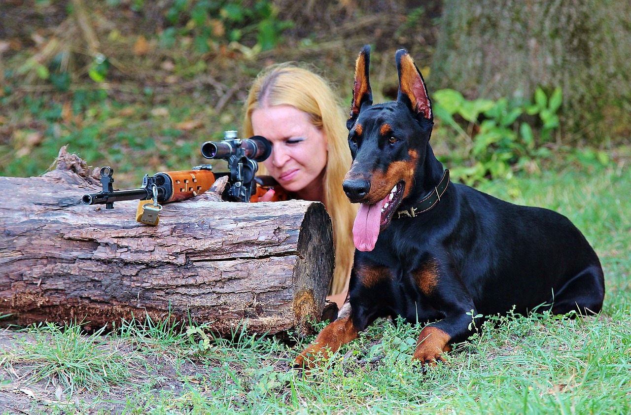 beside a  doberman is a woman looking through her rifle scope attached to the rifle she is holding