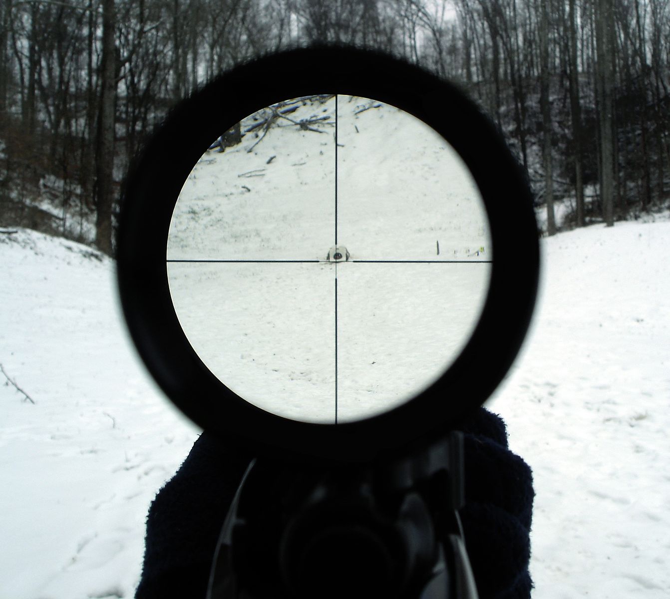 rifle scope choosing magnification